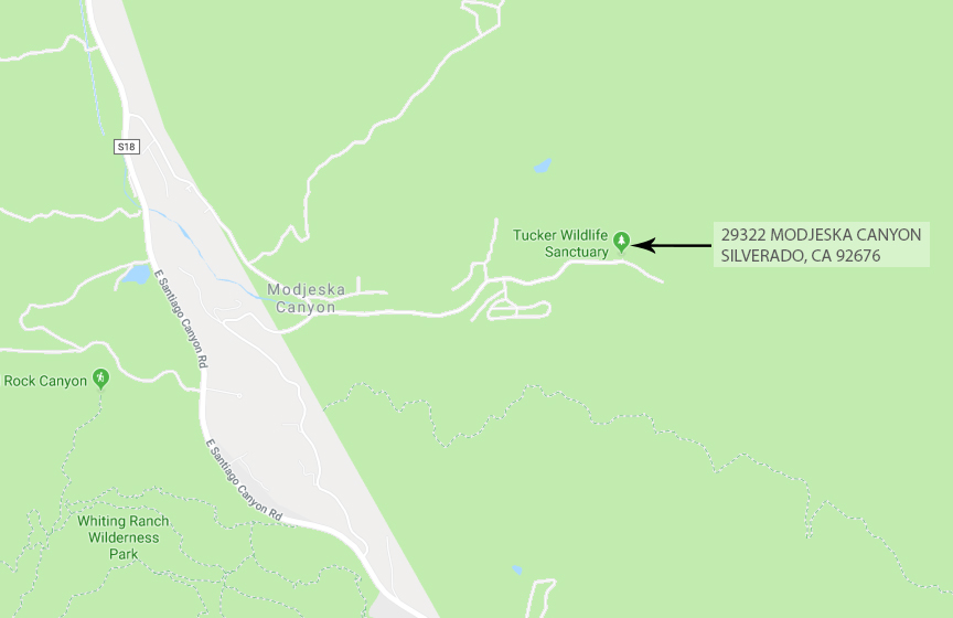 tucker_wildlife_sanctuary_01